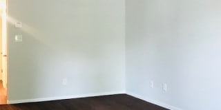 AV Gallery 1