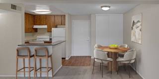 4200 Paradise Gallery 11