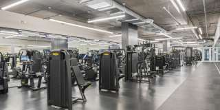 75 Tresser Gallery 17