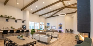 Meritum Evergreen Gallery 14