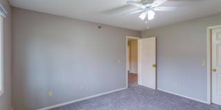 SpringBrook Gallery 14