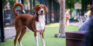 727 West Madison 727 West Madison Gallery 59