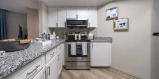 Nova at Trinity Gallery 3