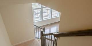 5004 FOREST PINES Drive Gallery 17