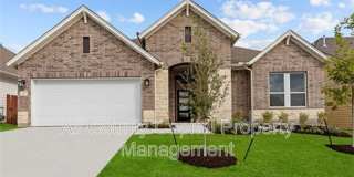 217 Flowering Senna Dr Gallery 1