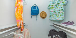 The Solana Vista Gallery 19