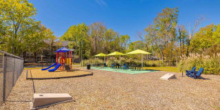 Ellevate St. Ives Gallery 19