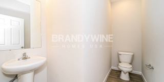 443 Terabithia Way Gallery 11