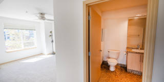 424 North 85th Street, #301 Gallery 13