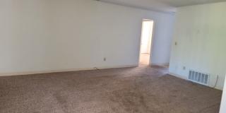No Deposit Gallery 7