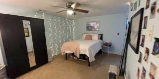 1609 Sydenham Gallery 95