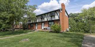 Charming and Spacious South Side 3-Bedroom Duplex Gallery 3
