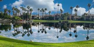 55504 Firestone Gallery 16