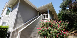 Condo for rent Gallery 10