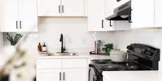 Mulberry Pond Gallery 1