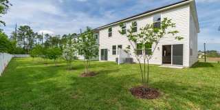 111 Brazil Nut Circle Gallery 32