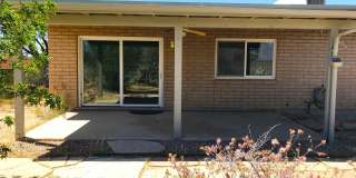 7800 N Nicole Place Gallery 43
