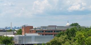 The Lockwood Gallery 56