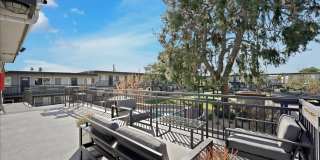 Tierra Palms Gallery 79