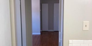 23 WARD PLACE Gallery 3