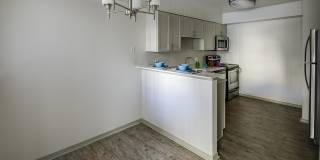 Alvista Trailside Gallery 30