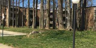 2205 Greenery Ln Gallery 27