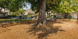 Affordable Housing - Central on the Green Apartment Homes Gallery 14