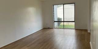 18917 ALPENGLOW Gallery 2