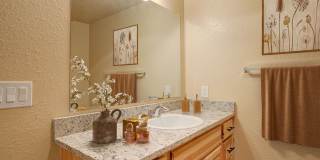 BROOK HOLLOW APARTMENTS Gallery 27