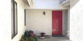 4328 Forest Oaks Drive Gallery 5