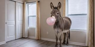 5630 Alliance Way Gallery 50