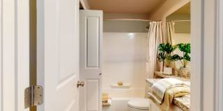 A'Cappella Gallery 7