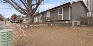 4899 Sonata Drive - 1 Gallery 3