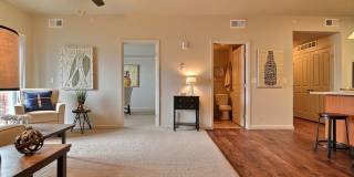 Reserve at West T-Bone Gallery 37