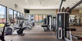 The Point at Town Center Gallery 13