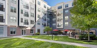 The Washingtons Gallery 22