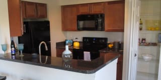 TGM Bermuda Island Gallery 1