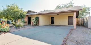 216 N Kachina Gallery 1