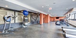 The Mark Alexandria Gallery 26