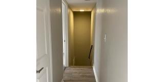 Bellevue Towers Gallery 85