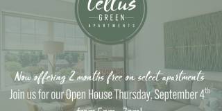 Tellus Green Tellus Green Gallery 13