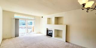 Beautiful Brisbane condo Gallery 13