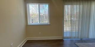 Northgate Gallery 110