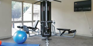 Crystal Springs Gallery 11