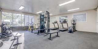 Ashford Apartments Gallery 17