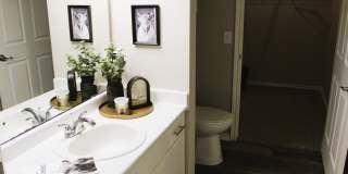 The Erica Gallery 25