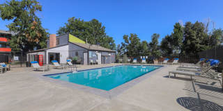 The Modern Gallery 36