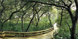 10455 Casella Way Gallery 37