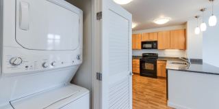 The Grand Gallery 29