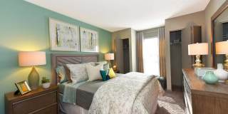 The Element Gallery 11